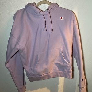 Champion hoodie brand new